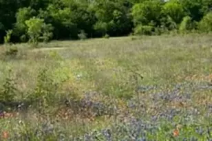 35 Longview Creek Trail, Itasca, TX 76055 - Photo 1