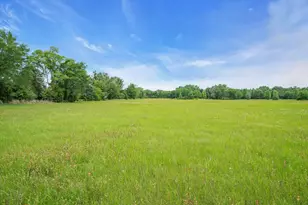 000 County Road 4106, Canton, TX 75103 - Photo 1