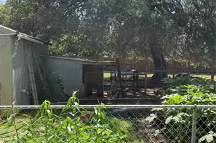 125 Live Oak Dr, Azle, TX 76020 - Photo 15