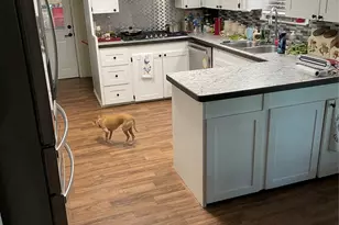 125 Live Oak Dr, Azle, TX 76020 - Photo 3