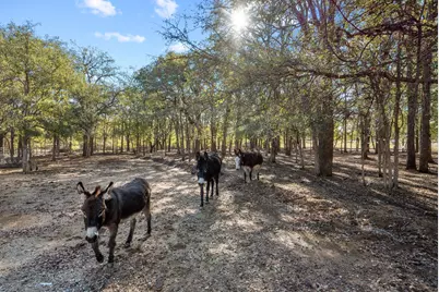 430 State Highway 114, Jacksboro, TX 76458 - Photo 39