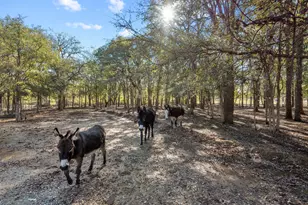 430 State Hwy 114, Jacksboro, TX 76458 - Photo 39