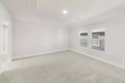 705 Valley Pines Drive, Anna, TX 75409 - Photo 17