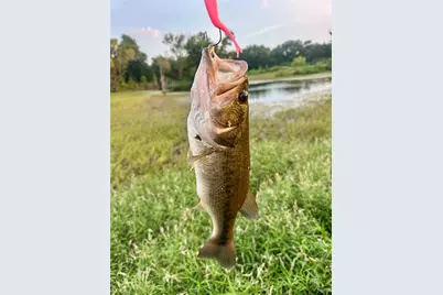 607 Faulkenberry Road, Groesbeck, TX 76642 - Photo 3