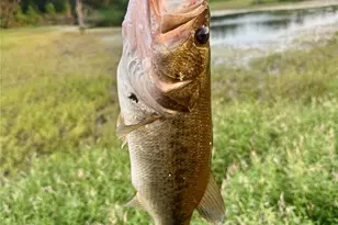 607 Faulkenberry Rd, Groesbeck, TX 76642 - Photo 3