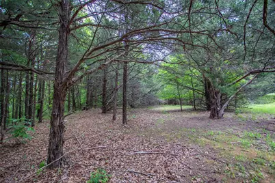 740 Palmilla Drive, Gordonville, TX 76245 - Photo 9