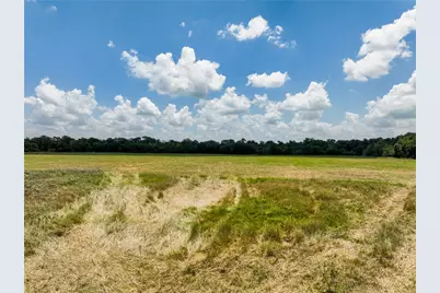 Tbd Fm 413, Kosse, TX 76653 - Photo 5