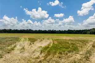 Tbd Fm 413, Kosse, TX 76653 - Photo 5