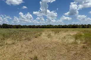 Tbd Fm 413, Kosse, TX 76653 - Photo 19