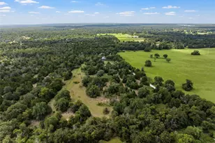 1079 Lcr 705, Kosse, TX 76653 - Photo 39