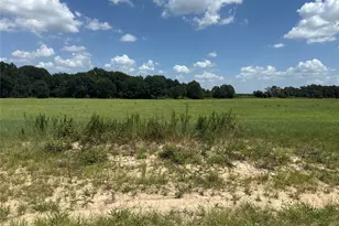 Tract 6 US Hwy 175, Athens, TX 75752 - Photo 1