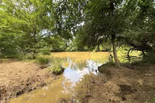 Tbd Lcr 663, Kosse, TX 76653 - Photo 11