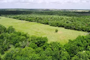 Tbd Lcr 663, Kosse, TX 76653 - Photo 7