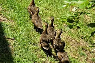 14277 Preston Rd, Dallas, TX 75254 - Photo 37