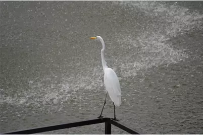 14277 Preston Road #923, Dallas, TX 75254 - Photo 37