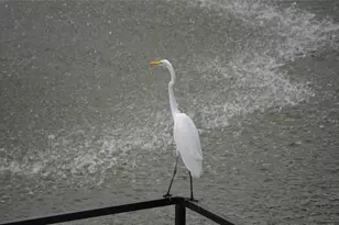 14277 Preston Rd, Dallas, TX 75254 - Photo 37