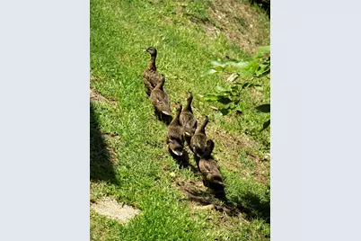 14277 Preston Road #923, Dallas, TX 75254 - Photo 39