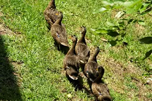 14277 Preston Rd, Dallas, TX 75254 - Photo 39