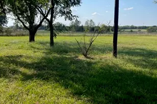 1001 S Fairway St, Fairfield, TX 75840 - Photo 23