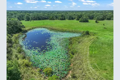 600 Vz County Road 3528, Wills Point, TX 75169 - Photo 37