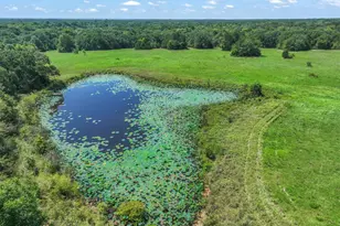 600 VZ Co Rd 3528, Wills Point, TX 75169 - Photo 37