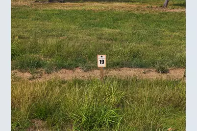 259 Lakeshore Terrace, Windom, TX 75492 - Photo 3