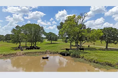 313 Vz County Road 3910, Wills Point, TX 75169 - Photo 25