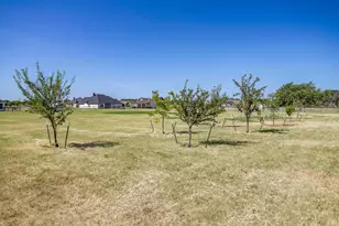 1053 Paradise Pkwy, Poolville, TX 76487 - Photo 33