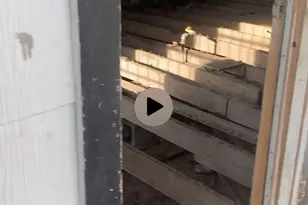 1223 Preston St, Waco, TX 76704 - Photo 7