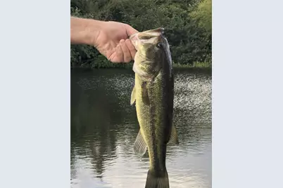 0000 Vz County Road 3501, Wills Point, TX 75169 - Photo 5