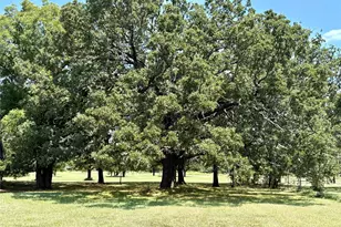 229 Clountz Ln, Pottsboro, TX 75076 - Photo 7