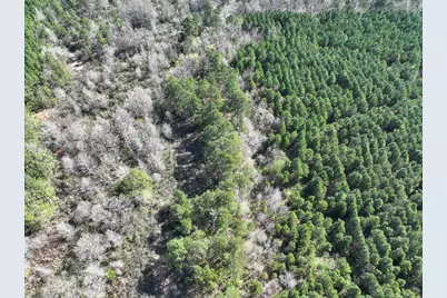 5 United Gas Road 1, Rodessa, LA 71069 - Photo 5