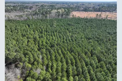 5 United Gas Road 1, Rodessa, LA 71069 - Photo 7
