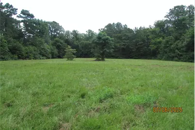 10878 Fm19, Frankston, TX 75763 - Photo 17