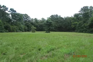 10878 FM 19, Frankston, TX 75763 - Photo 17