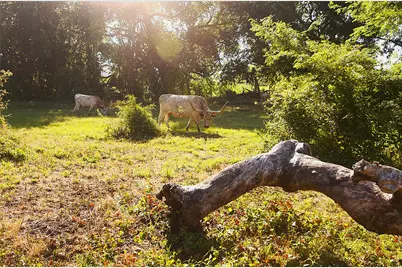 Tbd Flowing Wells, Pottsboro, TX 75076 - Photo 11