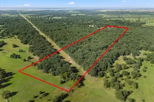 10115 SE County Road 4240, Kerens, TX 75144 - Photo 33