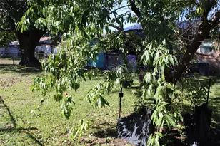 8501 Preston Trace Blvd, Frisco, TX 75033 - Photo 23