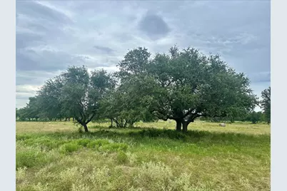 Lot 6 County Road 380, Dublin, TX 76446 - Photo 19