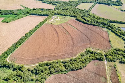 9964 State Highway 171, Covington, TX 76636 - Photo 5