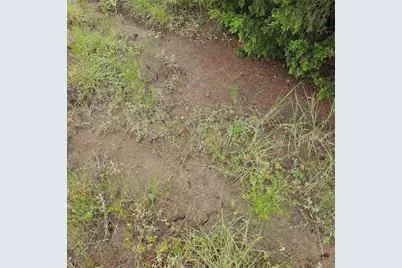 4840 Cr-1098, Celeste, TX 75423 - Photo 11