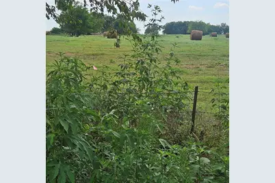 4840 Cr-1098, Celeste, TX 75423 - Photo 3