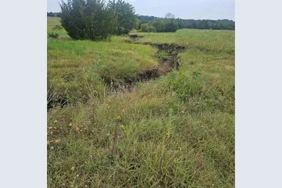 4840 Cr-1098, Celeste, TX 75423 - Photo 9