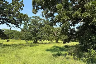 3634 County Rd 401B, Alvarado, TX 76009 - Photo 1