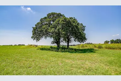 601 Cr-805, Keene, TX 76031 - Photo 19