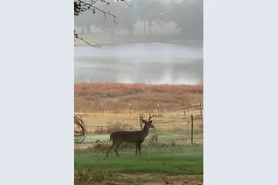 9900 Fm 1388, Scurry, TX 75158 - Photo 39