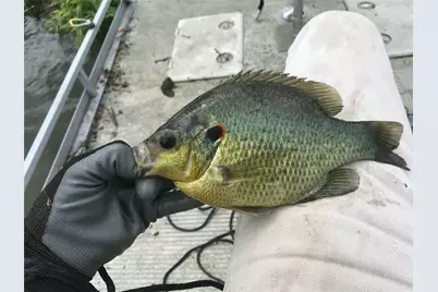 9900 Fm 1388, Scurry, TX 75158 - Photo 37