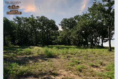 Lot 61 Camden Lane, Springtown, TX 76082 - Photo 1