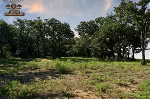 Lot 61 Camden Ln, Springtown, TX 76082 - Photo 1