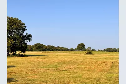 Tbd Fm 513, East Tawakoni, TX 75472 - Photo 5